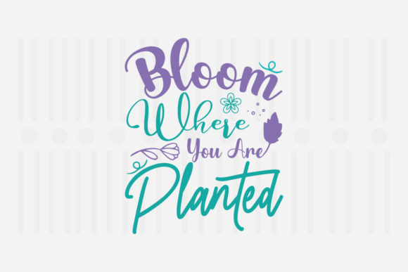 Bloom Where You Are Planted: A Designer’s Review